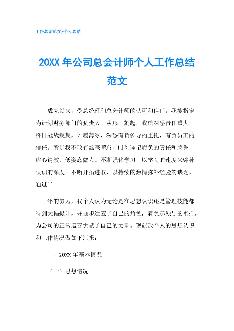 20XX年公司总会计师个人工作总结范文.doc_第1页