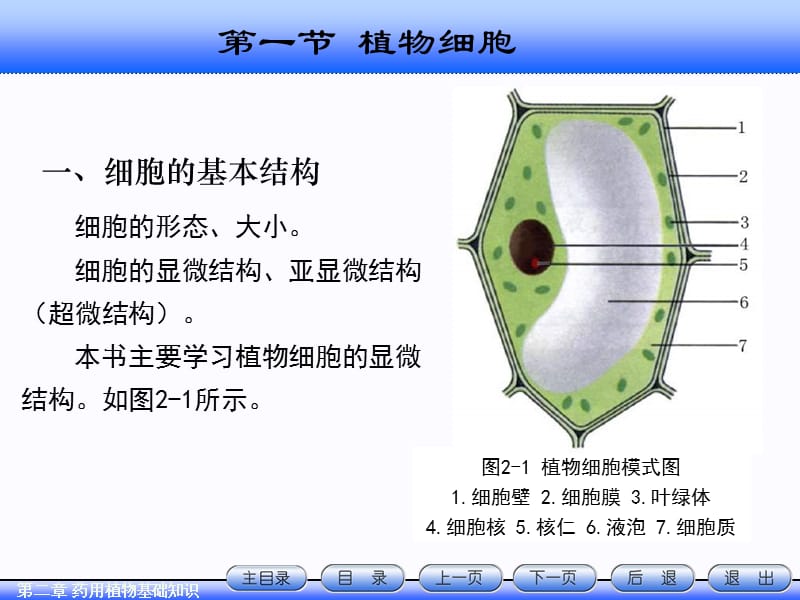 天然药物学基础知识.ppt_第2页