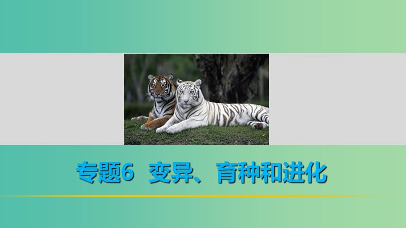 高考生物二轮复习 考前三个月 专题6 变异、育种和进化 考点19 理解变异原理掌握育种流程课件.ppt_第1页