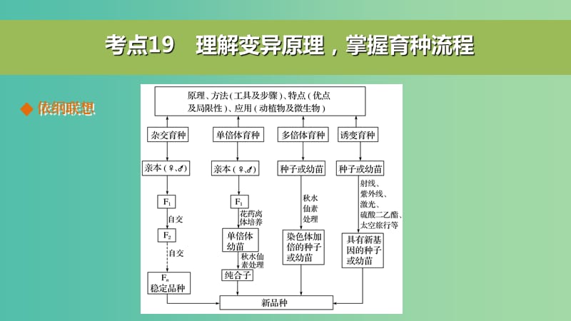 高考生物二轮复习 考前三个月 专题6 变异、育种和进化 考点19 理解变异原理掌握育种流程课件.ppt_第2页