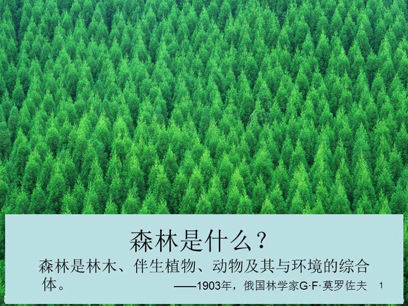 森林防火知识ppt课件_第1页