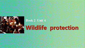 高考英語一輪復習 Unit 4 Wildlife protection課件 新人教版必修2.ppt