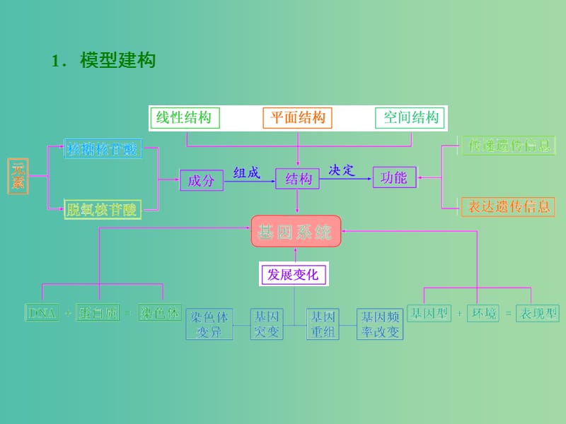 高考生物二轮专题复习 第一部分 专题2 第1讲 基因系统的组成与结构-基因的本质课件.ppt_第3页