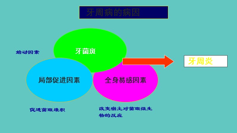 病因学_第2页