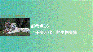 高考生物大二輪總復習 增分策略 專題六 必考點16“千變?nèi)f化”的生物變異課件.ppt