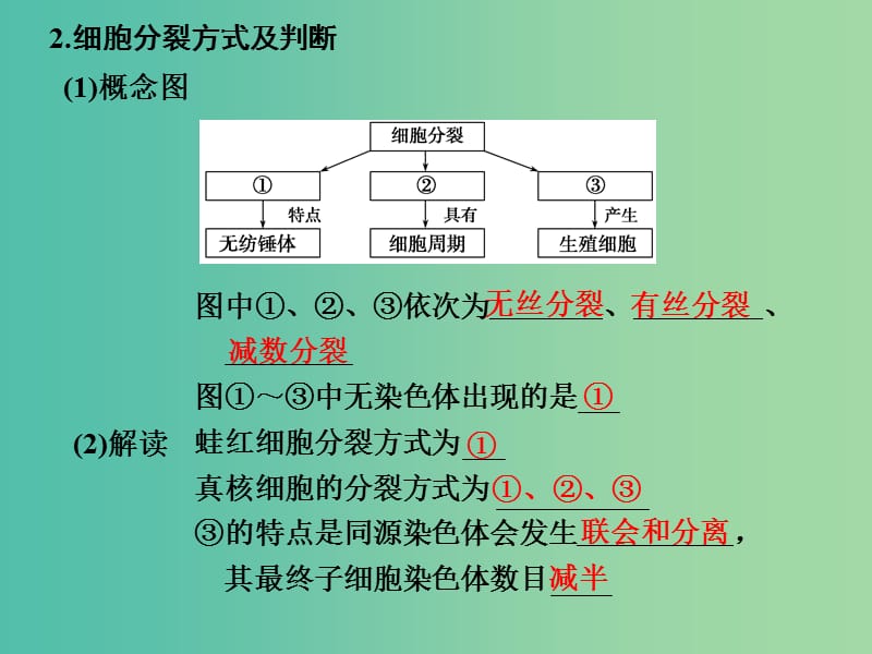 高考生物一轮复习 第四单元 细胞的生命历程 第11讲 细胞的有丝分裂及相关实验课件.ppt_第3页