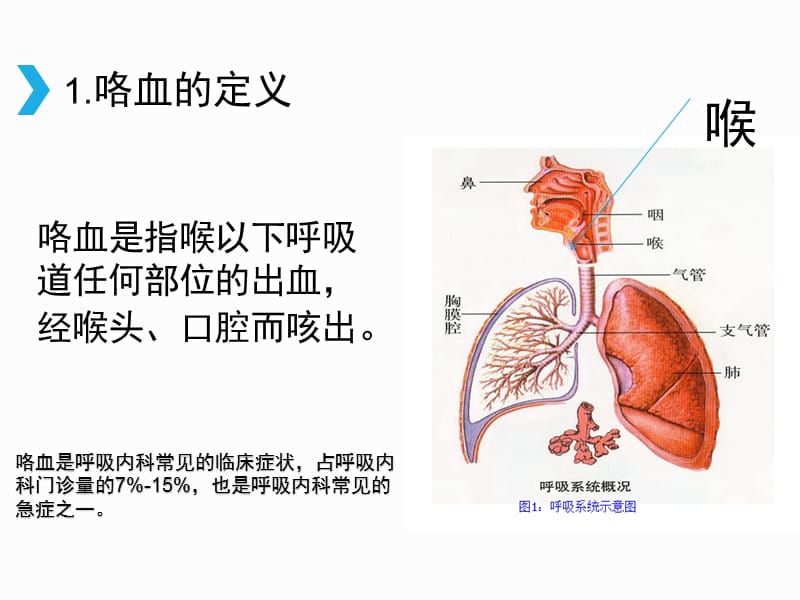 咯血的原因及对策.ppt_第3页