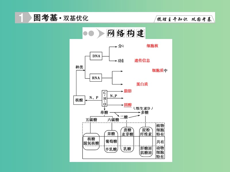 高考生物一轮复习 2.3遗传信息的携带者-核酸课件 新人教版必修1.ppt_第2页