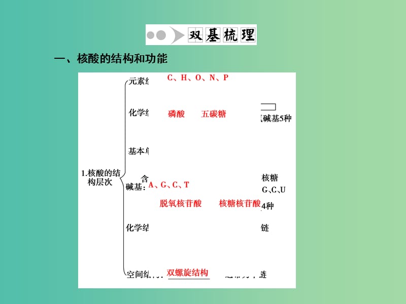 高考生物一轮复习 2.3遗传信息的携带者-核酸课件 新人教版必修1.ppt_第3页