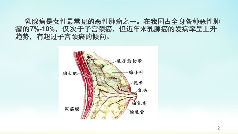 乳腺癌的病因和发病机制ppt课件_第2页