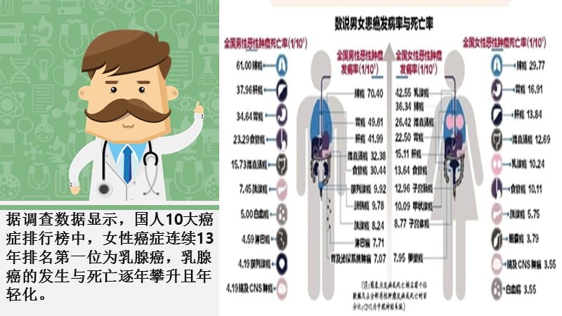 乳腺保健及影像学结果阅读ppt课件_第2页