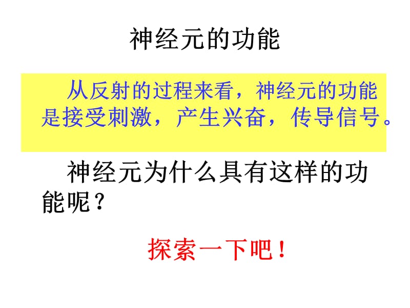 兴奋在神经纤维上的传导含动画.ppt_第2页