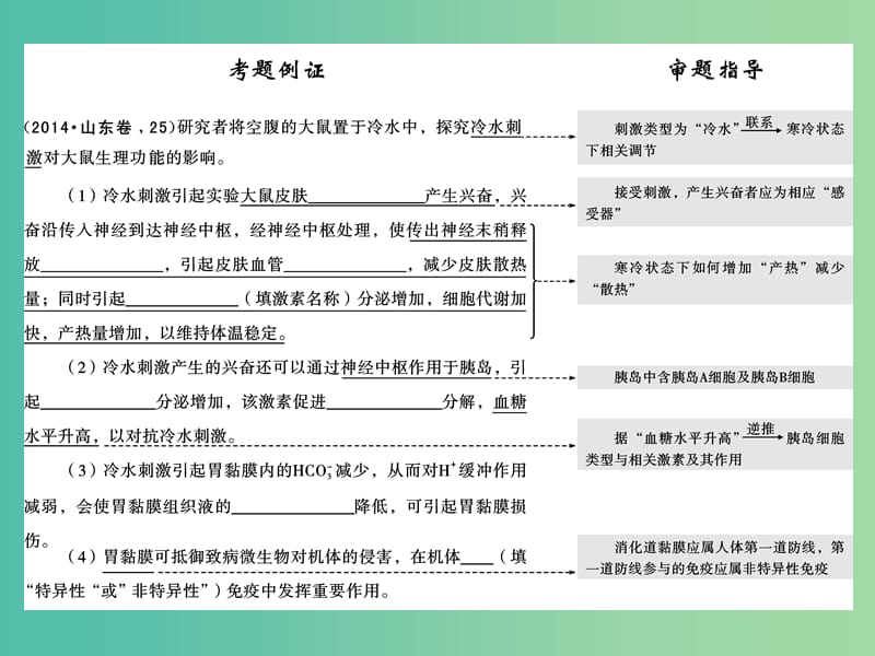 高考生物二轮专题复习 体系通关2 高频考点5 人和动物生命活动的调节课件.ppt_第2页