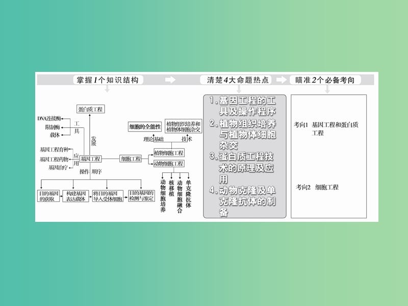 高考生物二轮复习 专题7 第1讲 基因工程和细胞工程课件.ppt_第2页