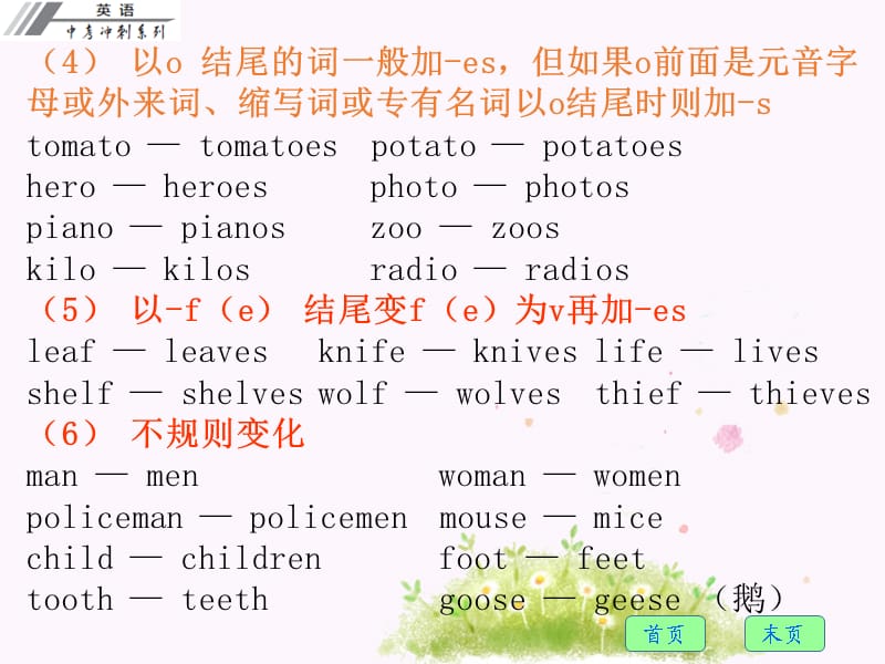 2017人教版初中英语中考复习课件名词.ppt_第3页