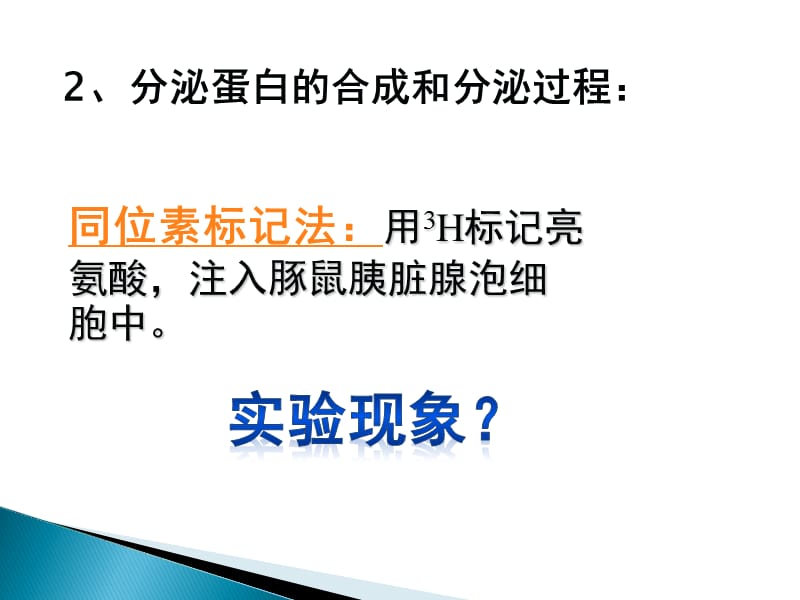 分泌蛋白的合成与运输.ppt_第3页