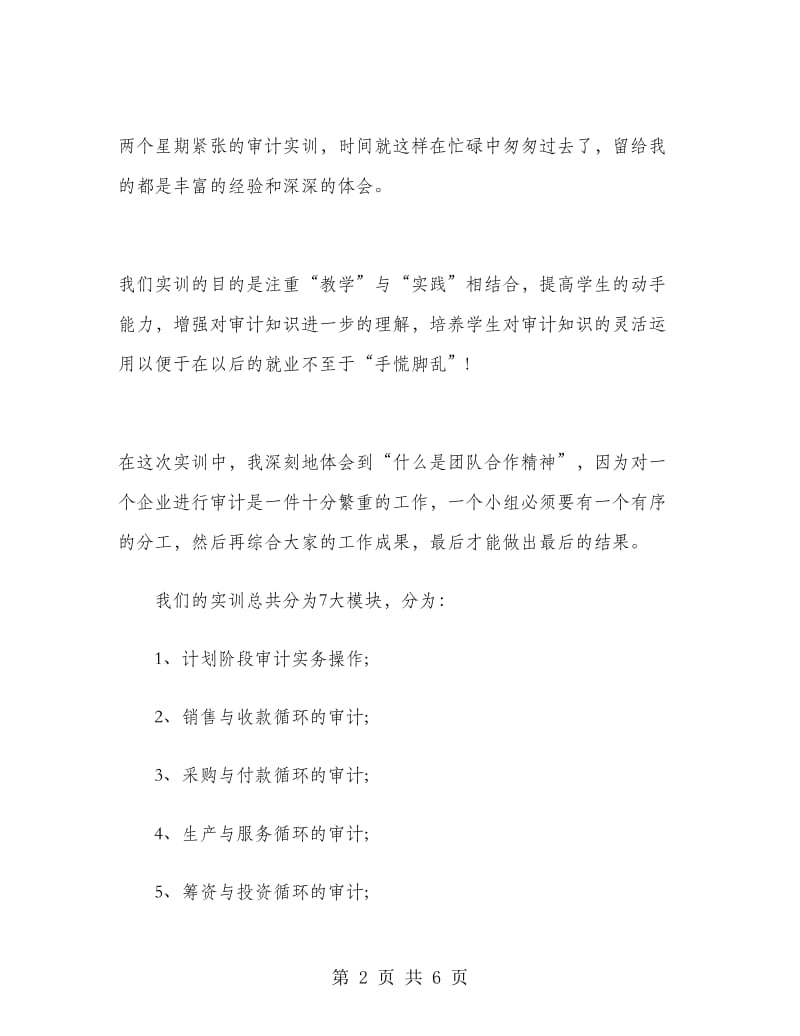 2019年实习会计试用期工作总结.doc_第2页