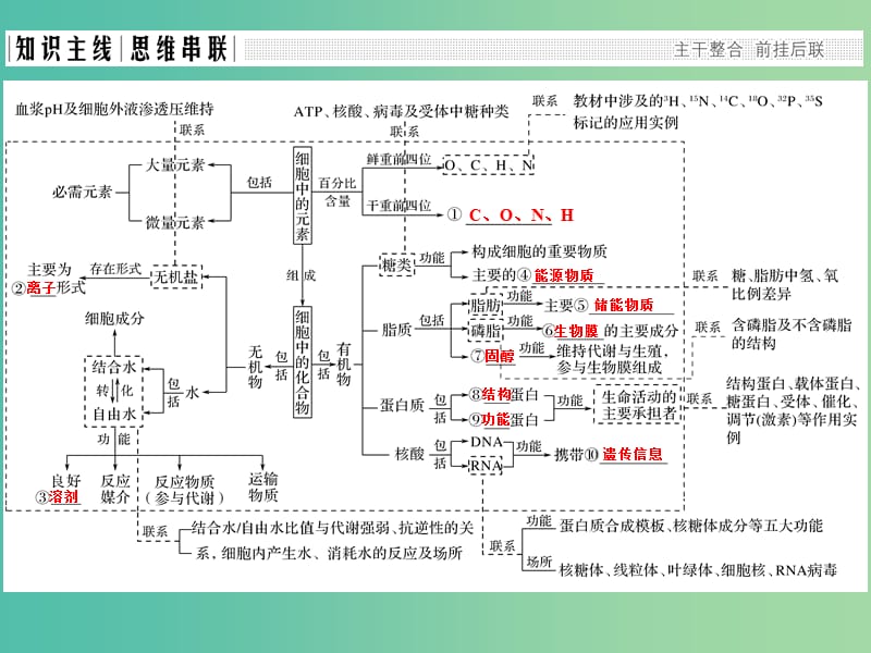 高考生物二轮复习 第一单元 生命系统的细胞基础 专题一 细胞的物质基础课件.ppt_第2页