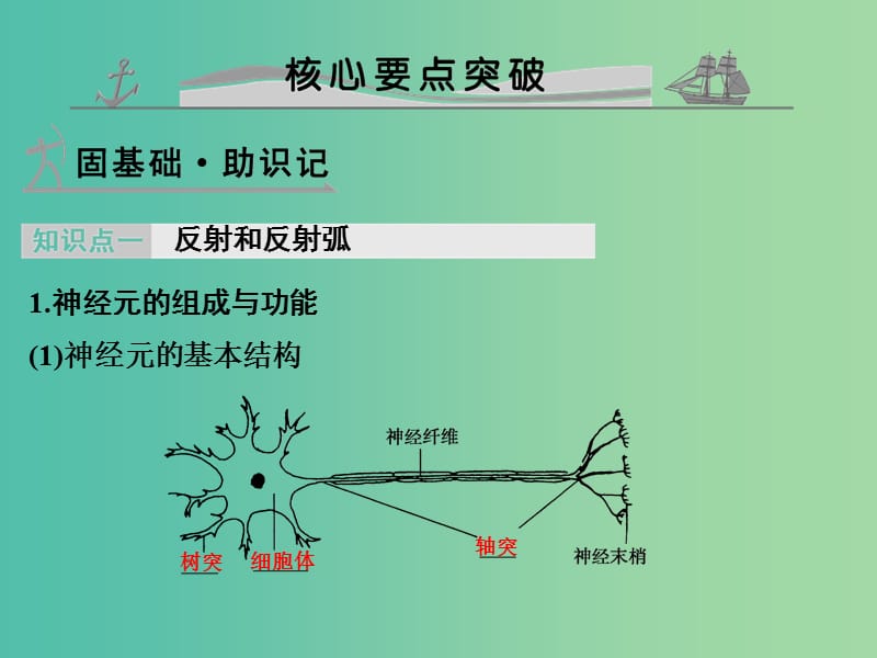 高考生物 第七单元 专题十五 人和高等动物的神经调节课件.ppt_第2页