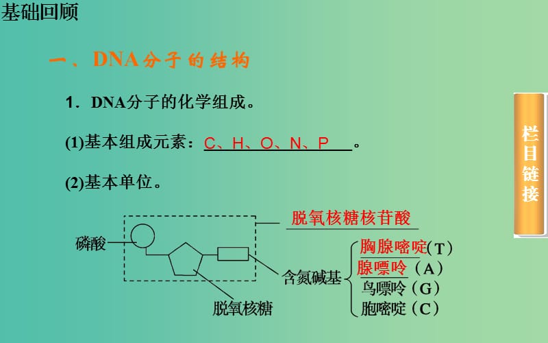 高考生物一轮复习 DNA分子的结构和复制及基因是有遗传效应的DNA片段课件.ppt_第3页