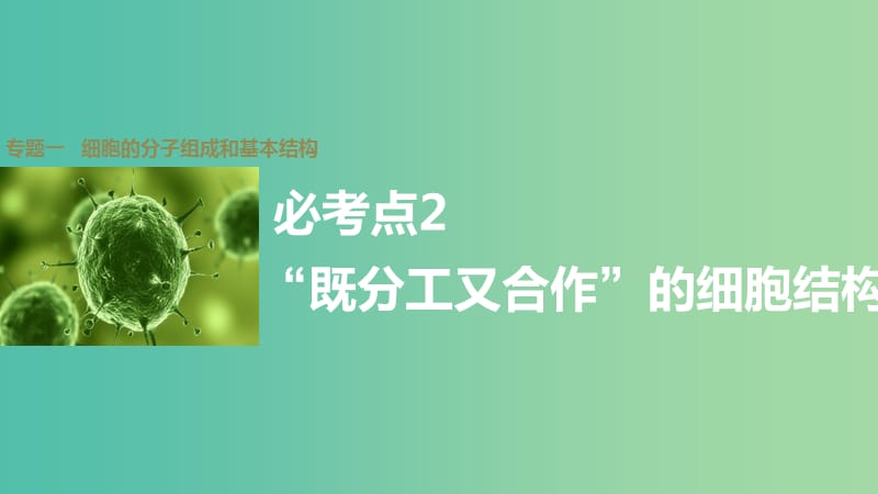 高考生物大二轮总复习 增分策略 专题一 必考点2“既分工又合作”的细胞结构课件.ppt_第1页