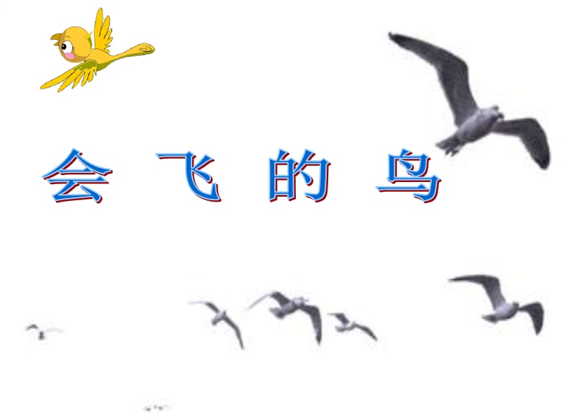 乐高教程ppt-会飞的鸟.ppt_第1页