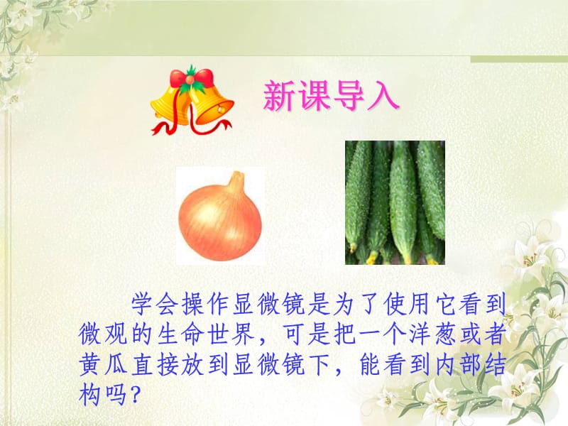 《观察植物细胞》课件.ppt_第1页