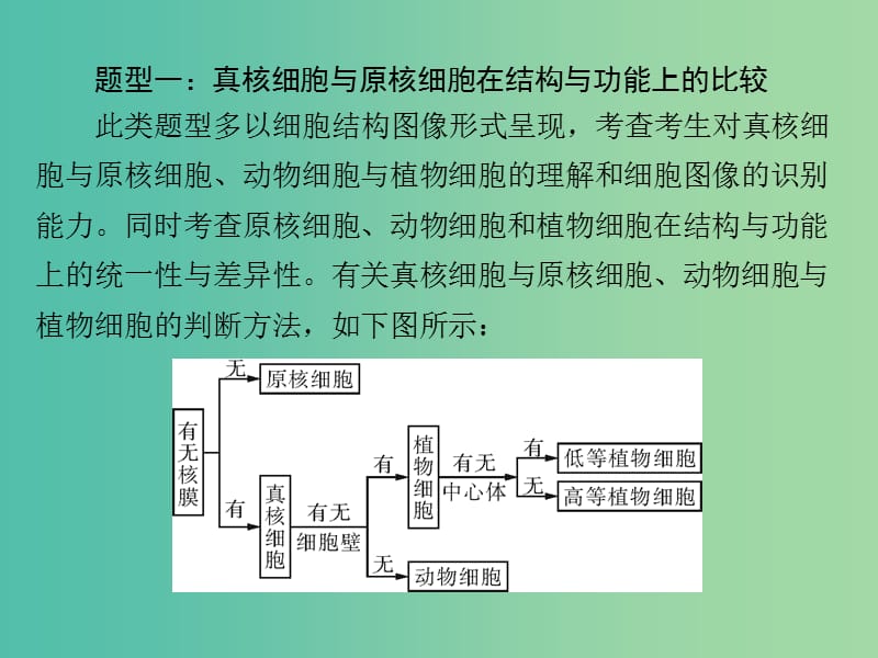 高考生物一轮总复习 小专题二 第3章 真核细胞的结构与功能课件（必修1）.ppt_第2页