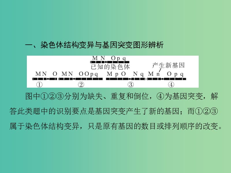 高考生物一轮总复习 第5章 小专题七 生物变异的图形突破课件（必修2）.ppt_第2页