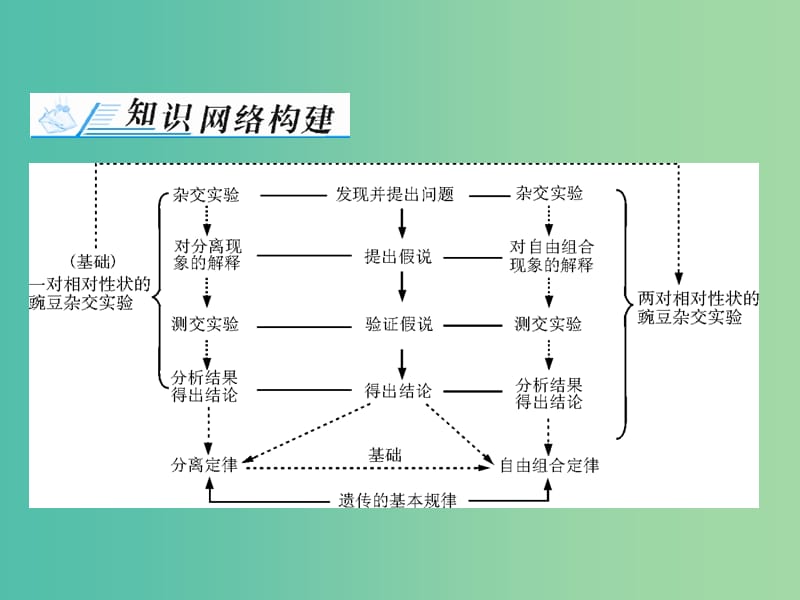 高考生物一轮总复习 第1章 遗传因子的发现章末知识提升课件.ppt_第2页