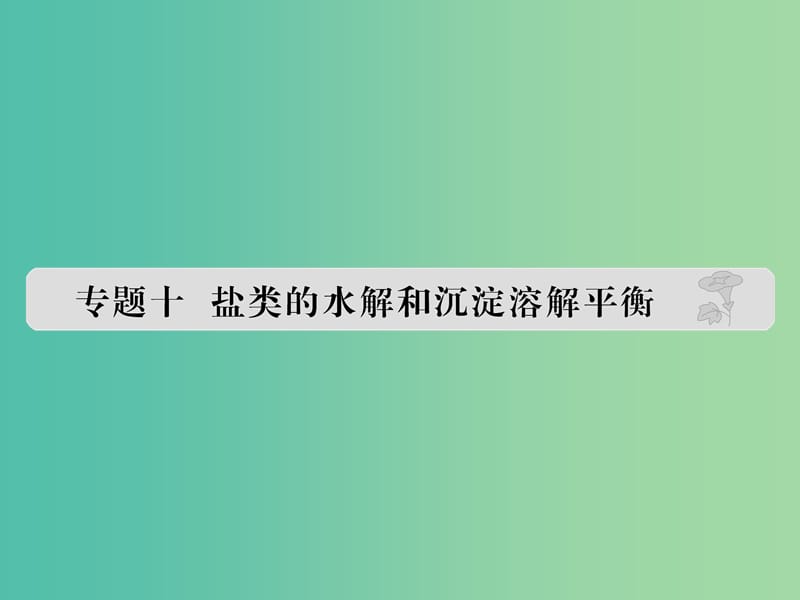 高考化学 专题十 盐类的水解和沉淀溶解平衡课件.ppt_第1页