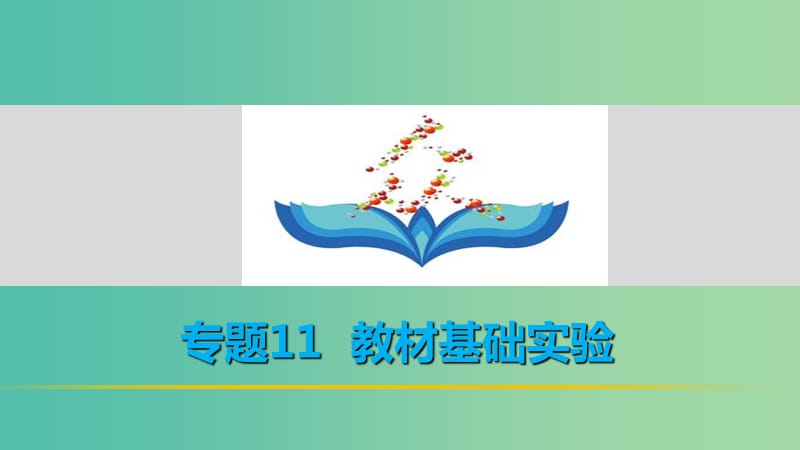 高考生物二轮复习 考前三个月 专题11 教材基础实验 考点33 观察类实验和鉴定提取类实验课件.ppt_第1页