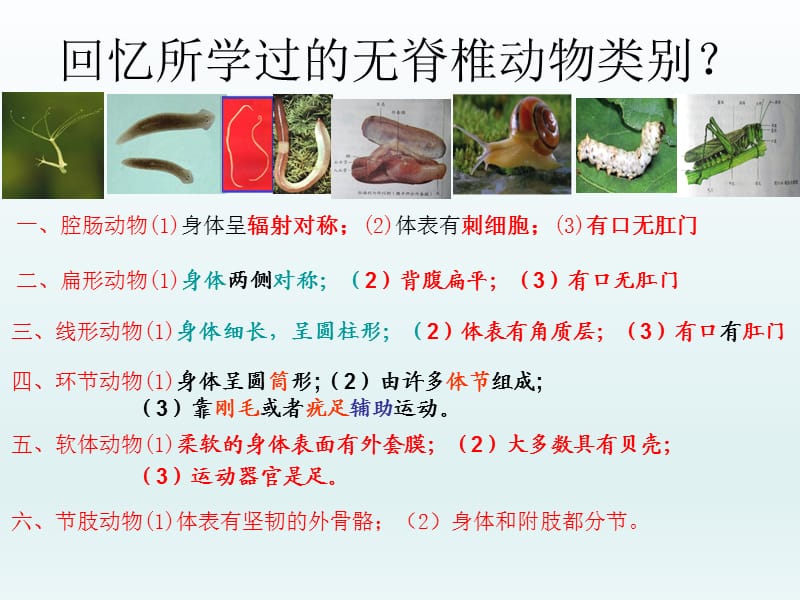 人教版八年级生物上册动物专题复习.ppt_第2页