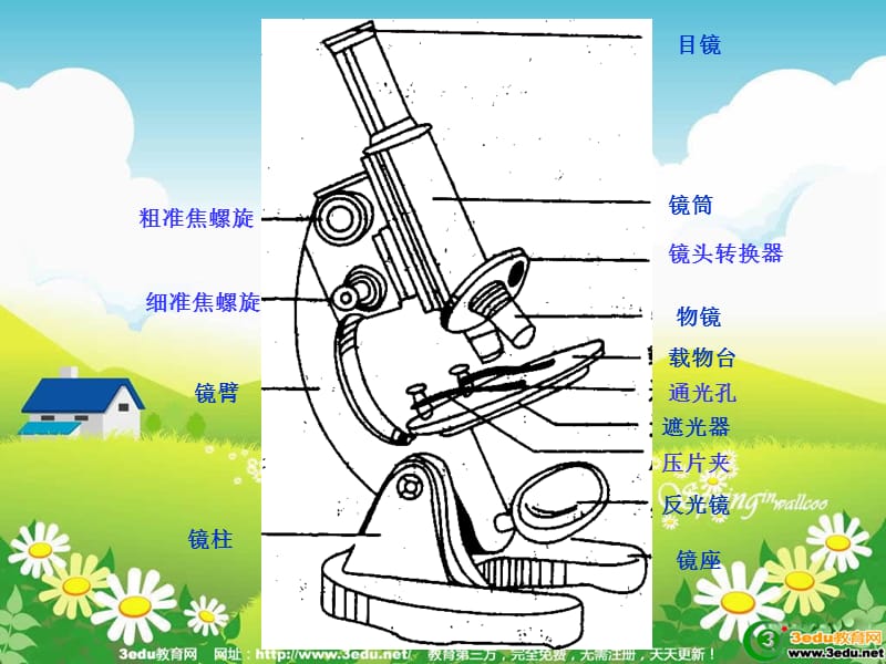 七年级生物显微镜的结构和使用.ppt_第3页