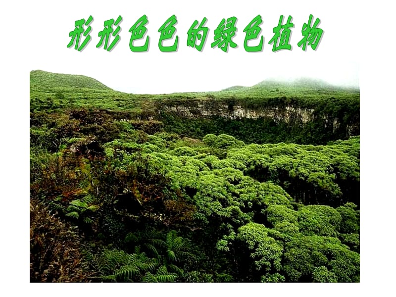 冀教版七年级生物第三节藻类植物.ppt_第1页