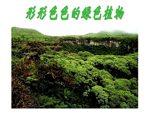 冀教版七年級生物第三節(jié)藻類植物.ppt