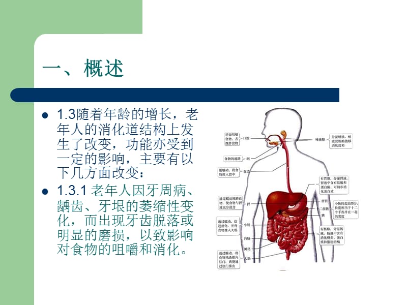 《老年人饮食护理》PPT课件.ppt_第3页