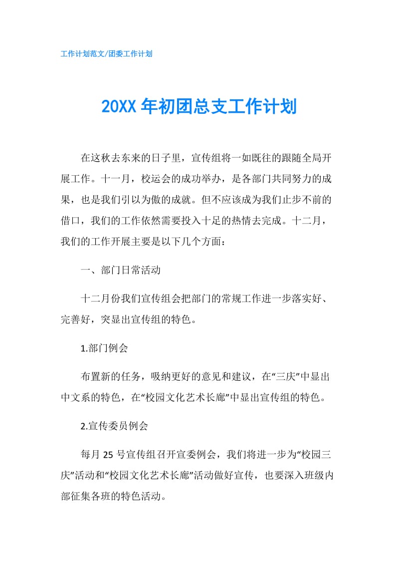 20XX年初团总支工作计划.doc_第1页