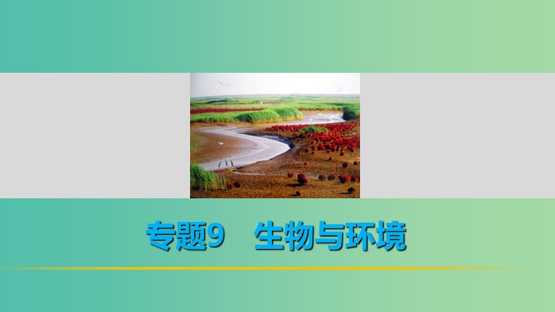 高考生物二轮复习 考前三个月 专题9 生物与环境 考点28 解读种群和群落的特征、数量变化课件.ppt_第1页