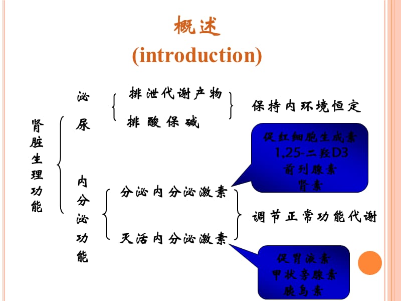 病理生理学 第十四章 肾功能不全_第2页