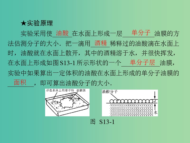 高考物理大一轮复习实验十三用油膜法估测分子的大形件.ppt_第3页