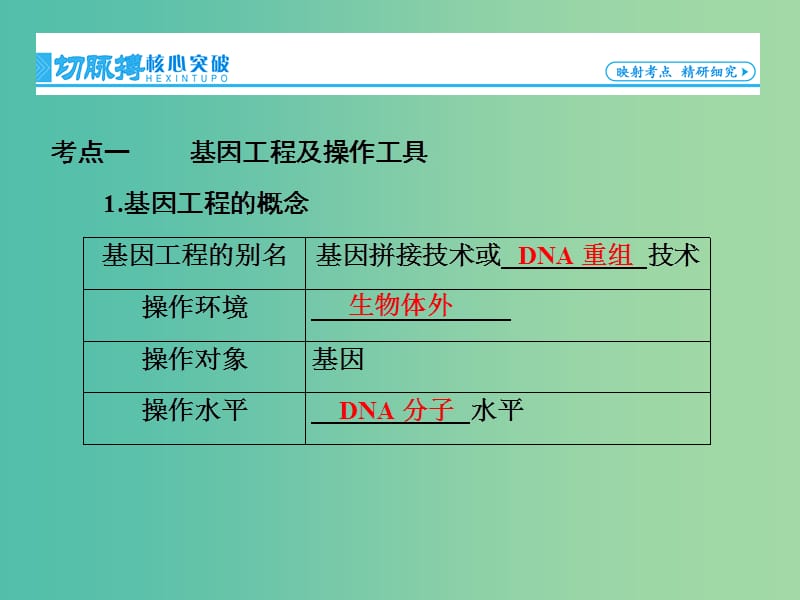 高考生物一轮复习 第1讲 基因工程课件 新人教版选修3 (2).ppt_第3页