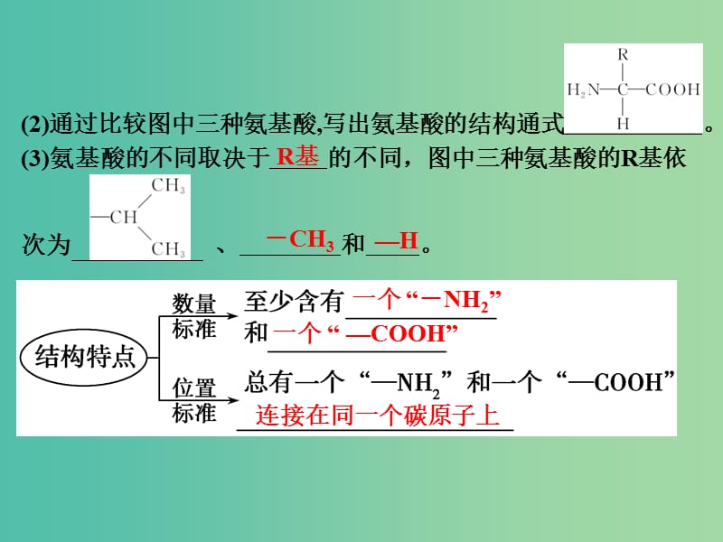 高考生物一轮复习 第1单元 细胞的分子组成 第3讲 生命活动的主要承担者-蛋白质课件 新人教版.ppt_第3页