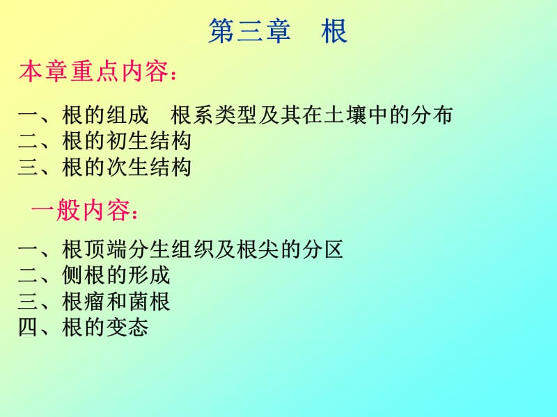 《根.茎.叶.变态》PPT课件.ppt_第2页