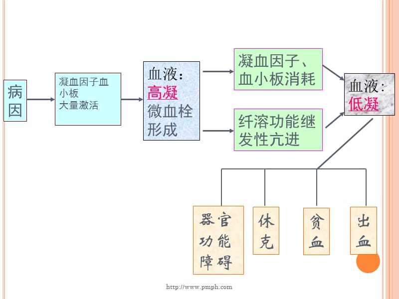 病理生理 .DIC_第3页