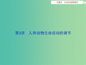 （浙江專用）高考生物二輪復(fù)習(xí) 專題五 生命活動的調(diào)節(jié) 第2講 人和動物生命活動的調(diào)節(jié)課件.ppt