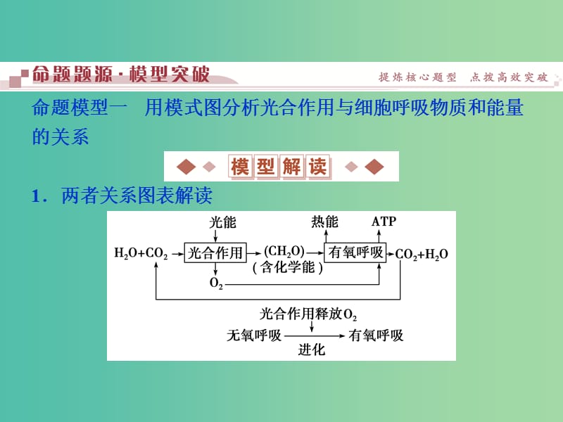 高考生物二轮复习 第一部分 专题二 细胞的代谢 命题源4 光合作用和细胞呼吸课件.ppt_第3页