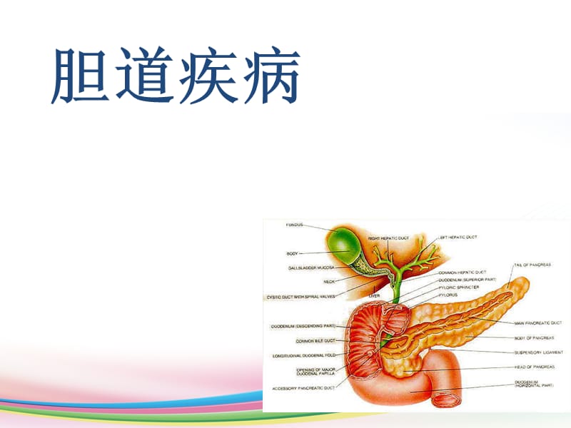 胆道疾病全析讲解_第1页