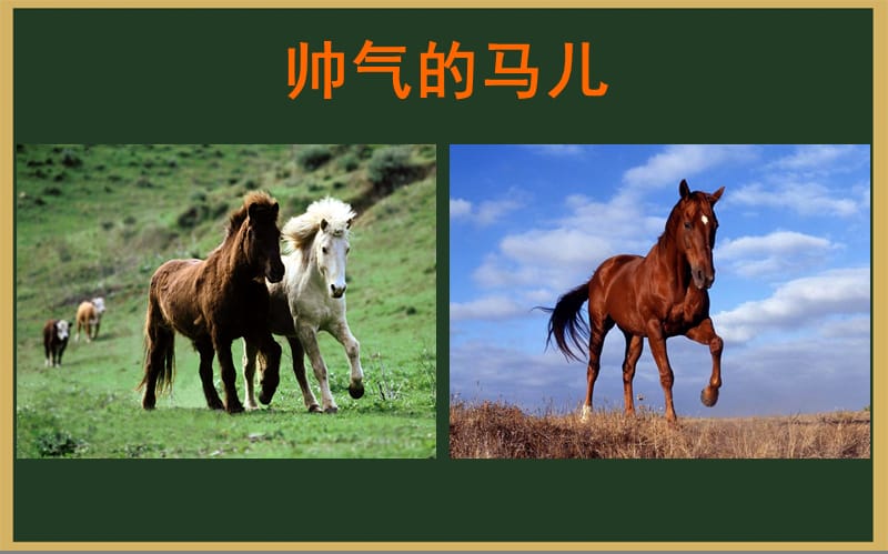 《那达慕之歌》课件.ppt_第3页