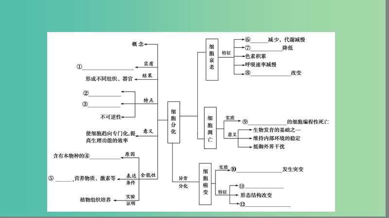 高考生物大二轮专题复习 专题三 细胞的生命历程 3.2 细胞的分化、衰老、凋亡和癌变课件.ppt_第3页